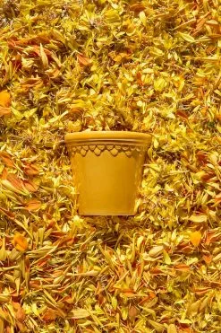 Bergs Potter Copenhagen Ruukku Pikkulautasella Keltainen, Ø16 Cm 9 Bergs Potter Copenhagen Ruukku Pikkulautasella Keltainen, Ø16 Cm -Julisteet Sales Store bergs potter copenhagen ruukku keltainen 19 1