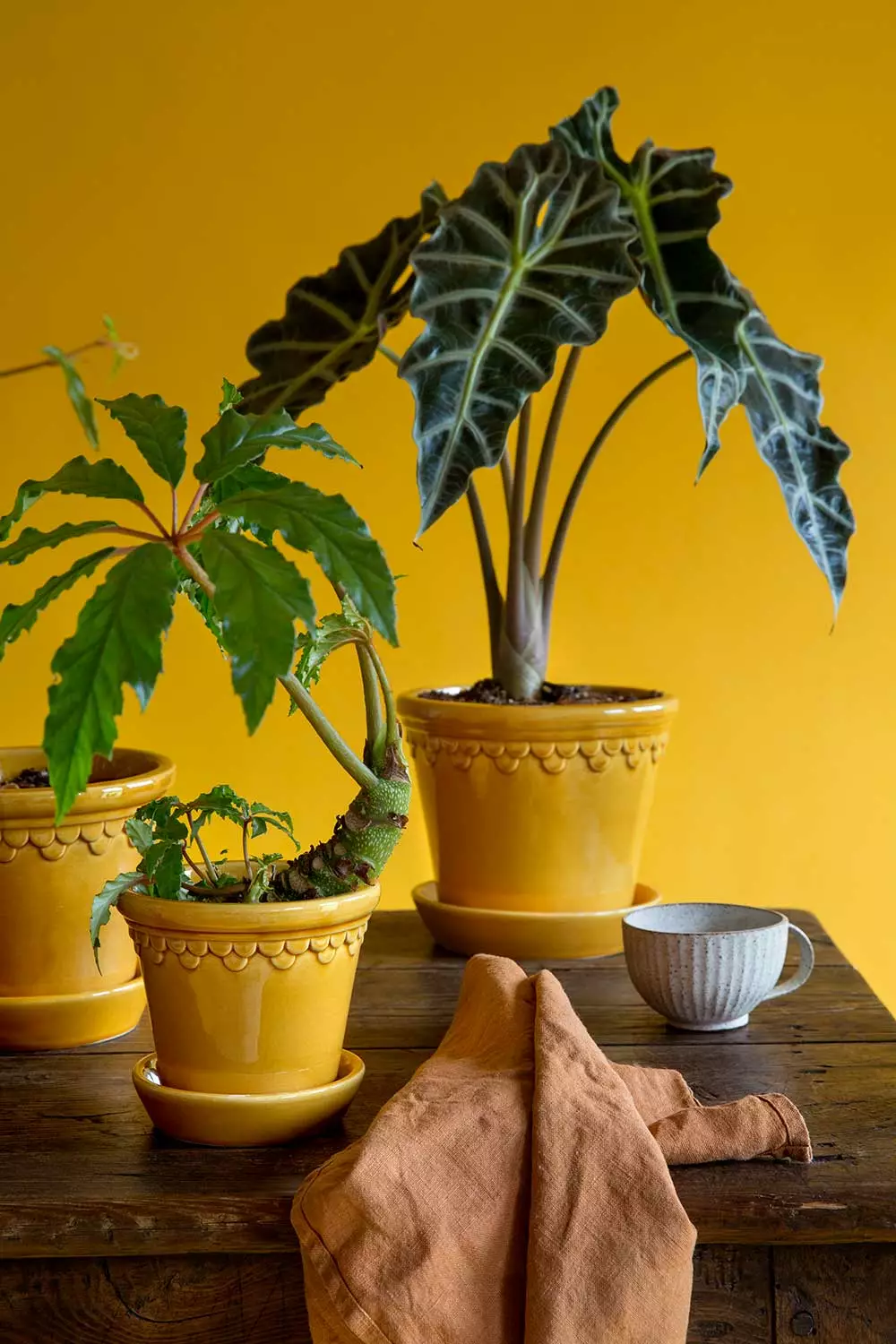 Bergs Potter Copenhagen Ruukku Pikkulautasella Keltainen, Ø21 Cm 6 Bergs Potter Copenhagen Ruukku Pikkulautasella Keltainen, Ø21 Cm - Image 6