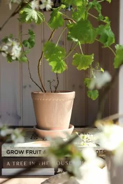 Bergs Potter Helena Ruukku Quartz Rose, 18 Cm -Julisteet Sales Store bergs potter helena ruukku quartz rose 10