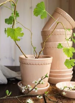 Bergs Potter Helena Ruukku Quartz Rose, 18 Cm -Julisteet Sales Store bergs potter helena ruukku quartz rose 11