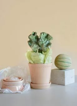 Bergs Potter Helena Ruukku Quartz Rose, 18 Cm -Julisteet Sales Store bergs potter helena ruukku quartz rose 9