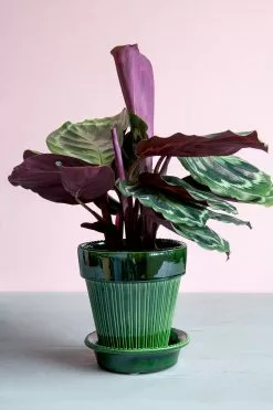 Bergs Potter Simona Ruukku, Vihreä, 14 Cm -Julisteet Sales Store bergs potter simona ruukku vihrea 7