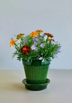 Bergs Potter Simona Ruukku, Vihreä, 14 Cm -Julisteet Sales Store bergs potter simona ruukku vihrea 9