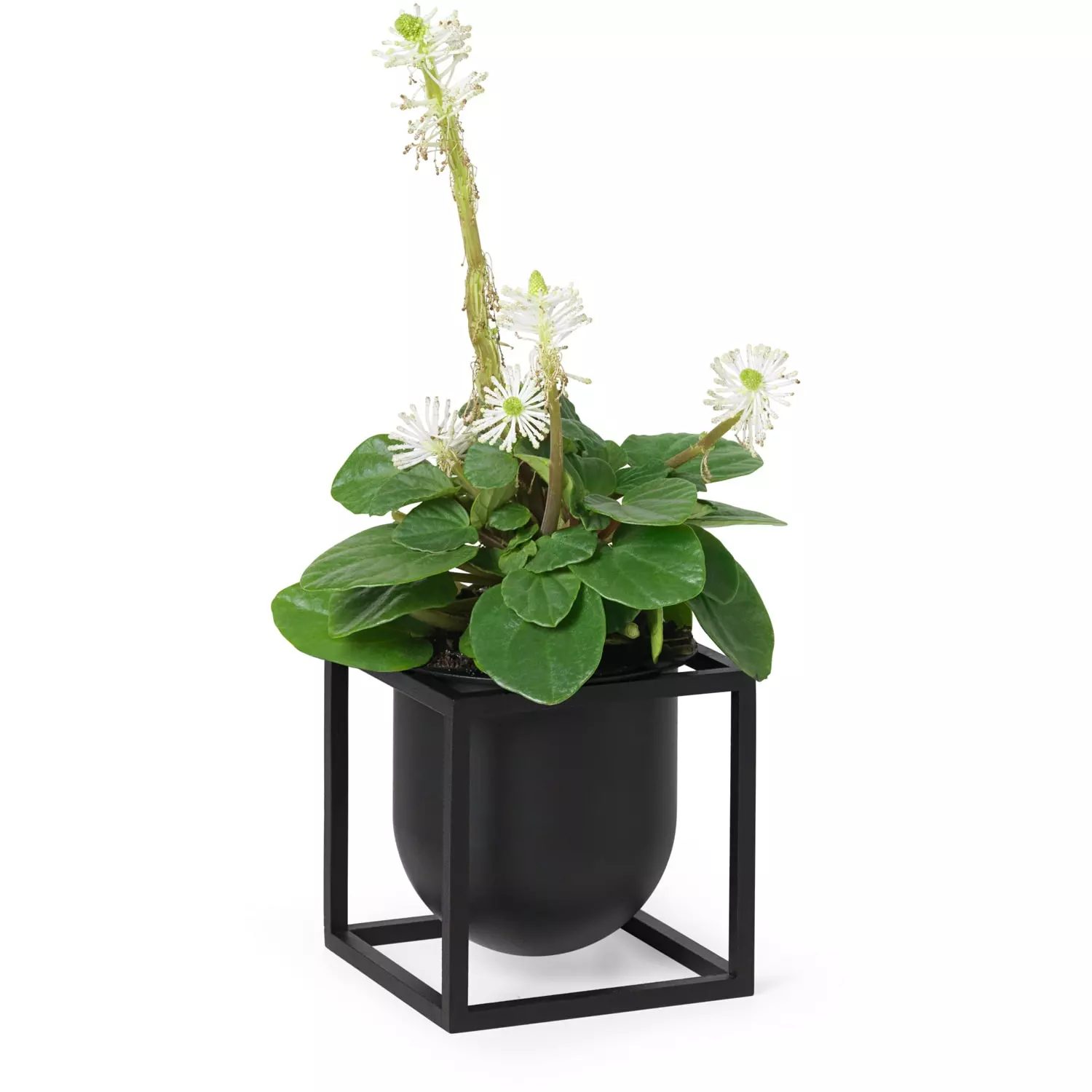 By Lassen Kubus Kukkaruukku, 10 Cm, Musta 5 By Lassen Kubus Kukkaruukku, 10 Cm, Musta - Image 5