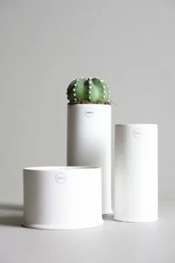 DBKD Astillbe Ruukku Valkoinen, 8x18 Cm -Julisteet Sales Store dbkd astillbe flower pot white 3 1