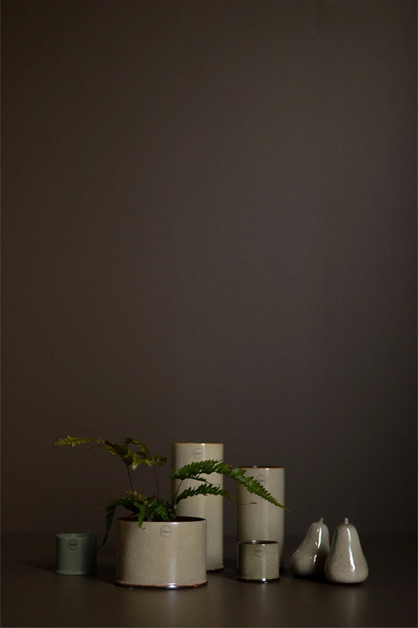 DBKD Astillbe Ruukku Dust 22 Cm / Large 2 DBKD Astillbe Ruukku Dust 22 Cm / Large - Image 2