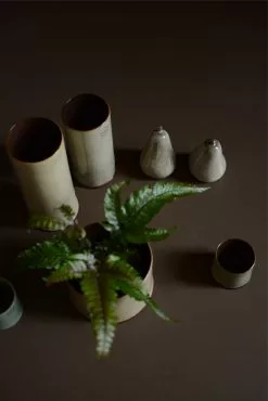 DBKD Astillbe Ruukku Dust 18 Cm / Medium 6 DBKD Astillbe Ruukku Dust 18 Cm / Medium -Julisteet Sales Store dbkd astillbe ruukku dust 2