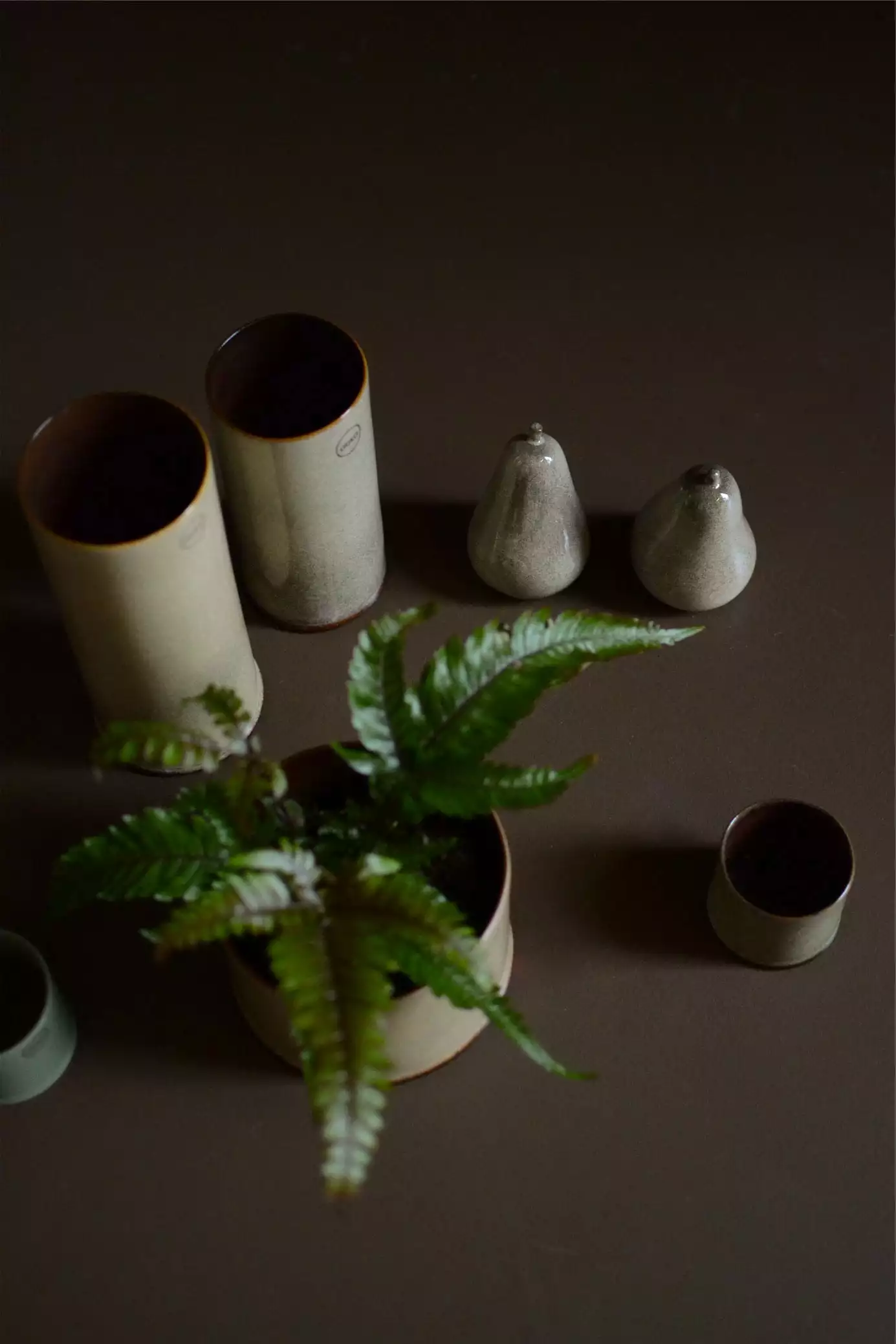 DBKD Astillbe Ruukku Dust 18 Cm / Medium 3 DBKD Astillbe Ruukku Dust 18 Cm / Medium - Image 3