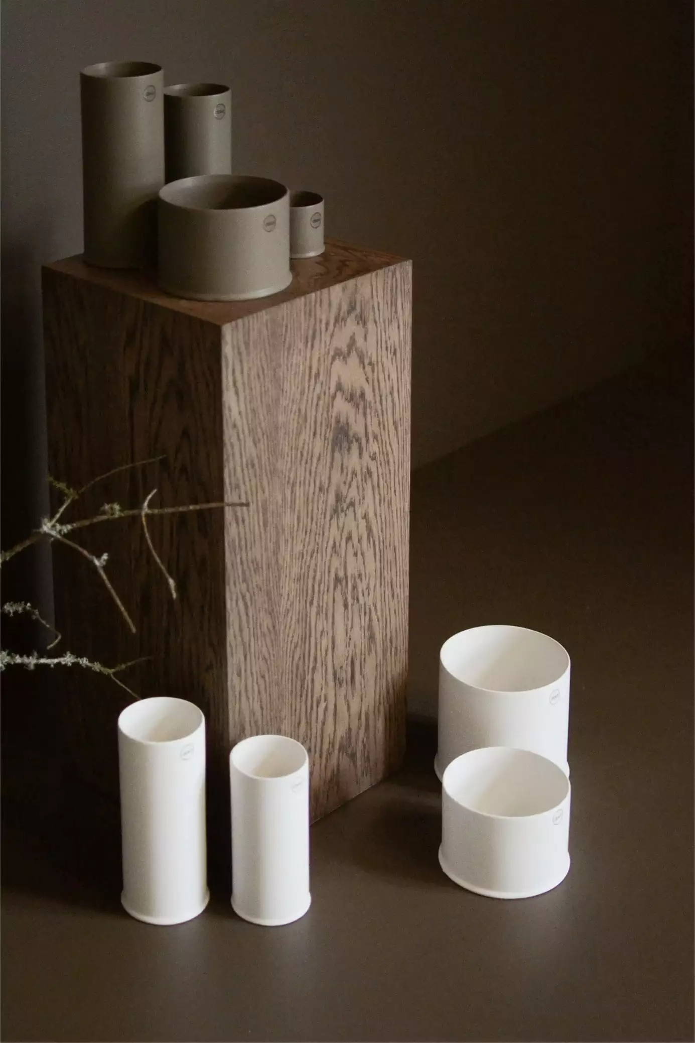 DBKD Astillbe Ruukku Dust 6 Cm / Small 4 DBKD Astillbe Ruukku Dust 6 Cm / Small - Image 4