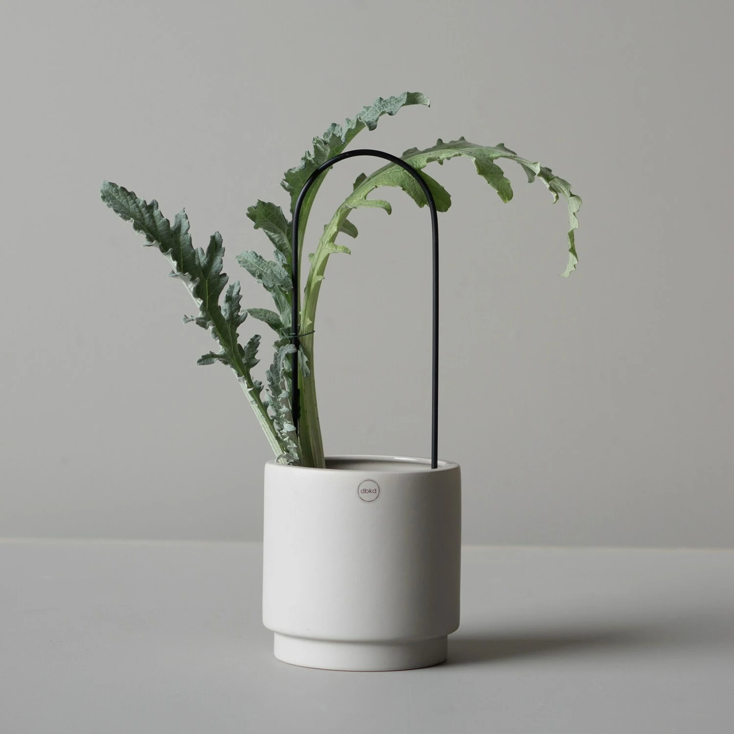 DBKD Flower Arc Kasvituki, Musta 2 DBKD Flower Arc Kasvituki, Musta - Image 2