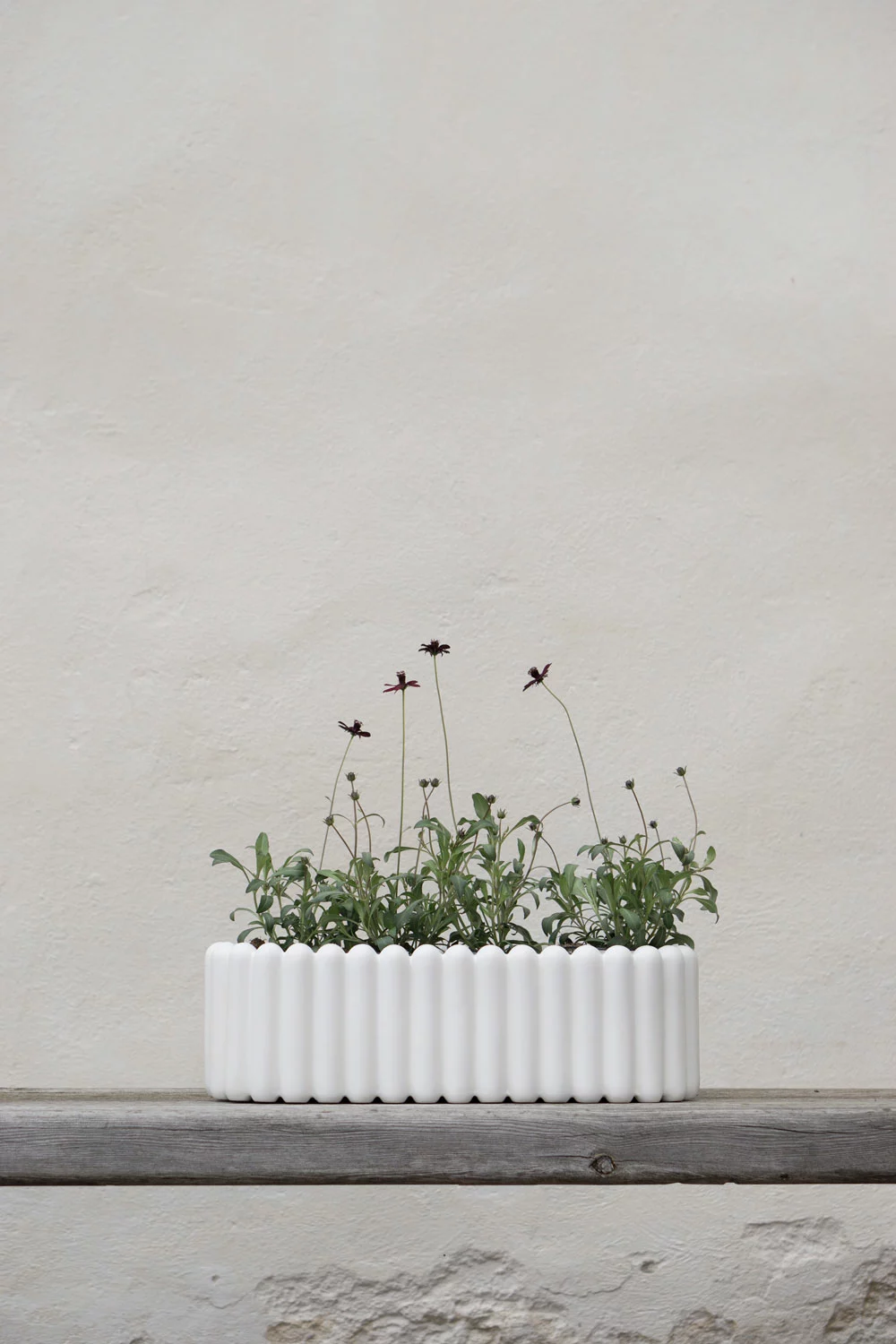 DBKD Mist Flower Pot XL, White 2 DBKD Mist Flower Pot XL, White - Image 2