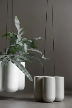 DBKD More Amppeli Shiny Mole, Small 5 DBKD More Amppeli Shiny Mole, Small -Julisteet Sales Store dbkd more amppeli shiny mole 2