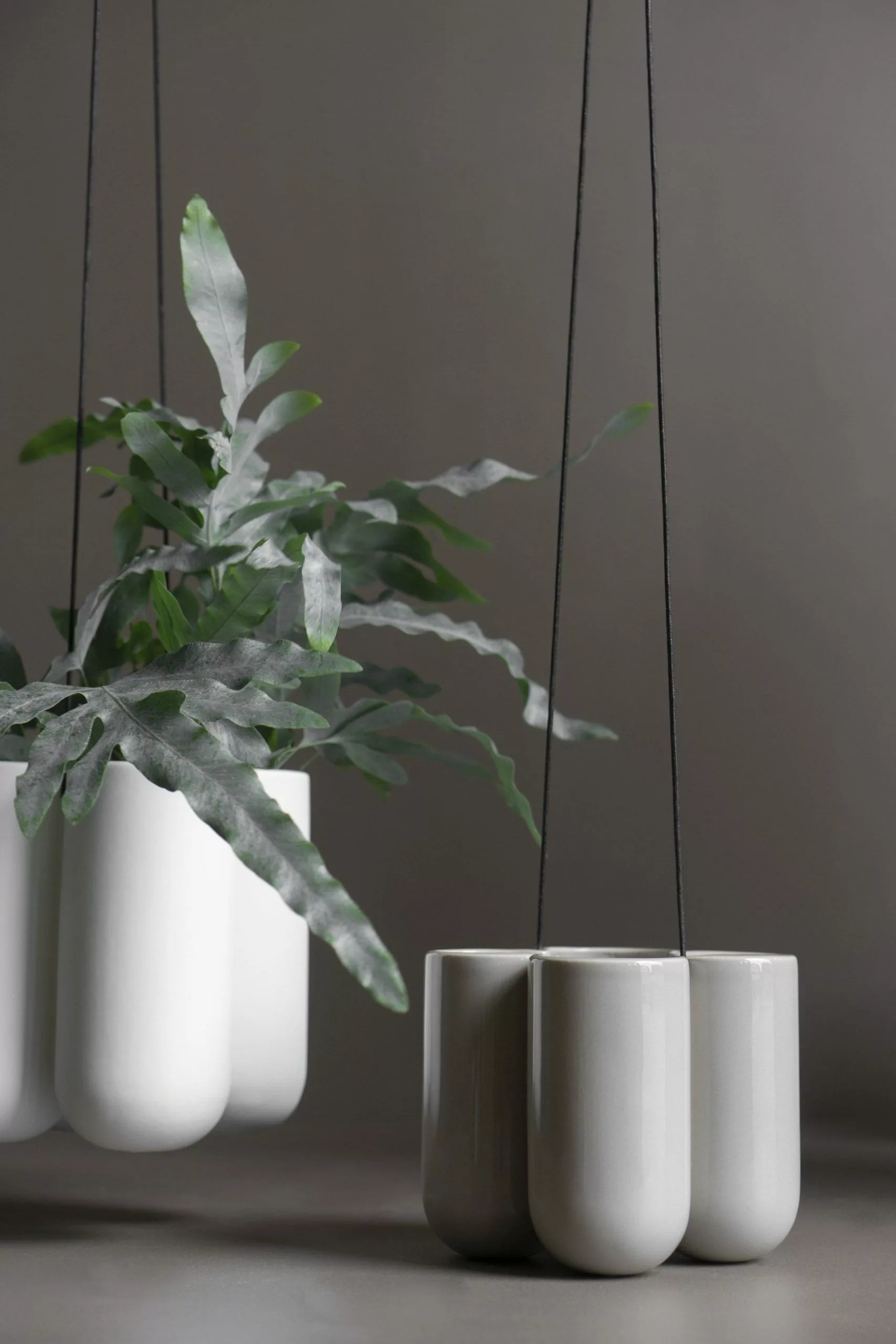 DBKD More Amppeli Shiny Mole, Small 3 DBKD More Amppeli Shiny Mole, Small - Image 3