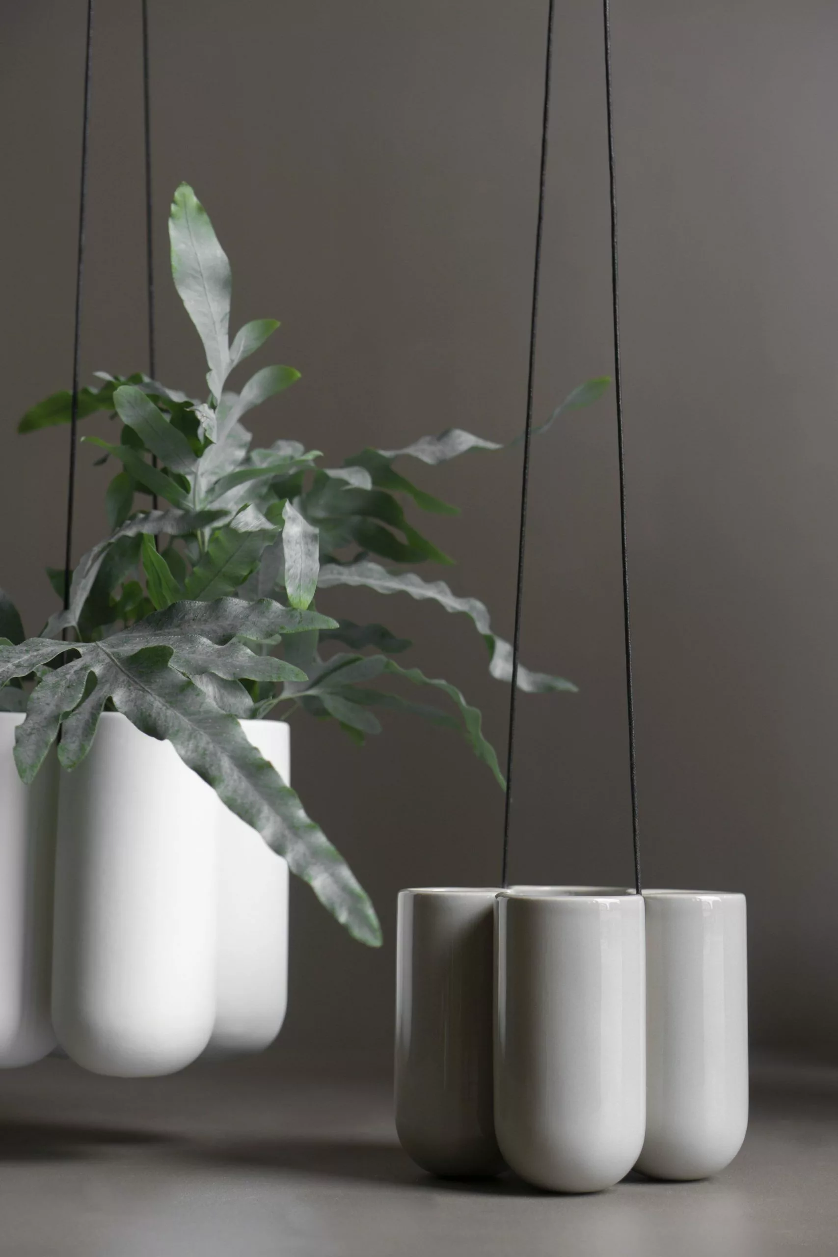 DBKD More Amppeli Valkoinen, Small 2 DBKD More Amppeli Valkoinen, Small - Image 2