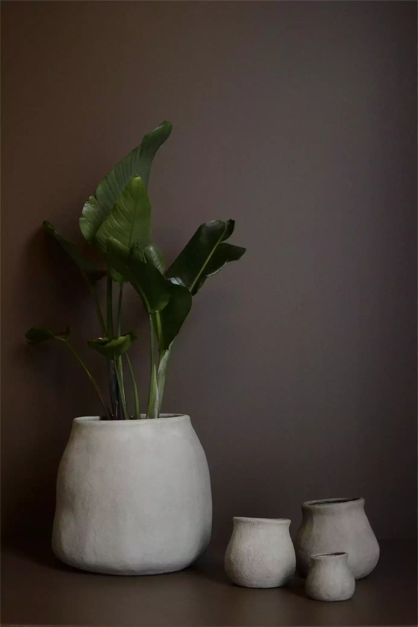 DBKD Paper Vase/Pot Small, Mole 5 DBKD Paper Vase/Pot Small, Mole - Image 5