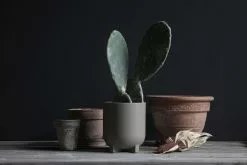 DBKD Plus Kukkaruukku, Dust, 16 Cm -Julisteet Sales Store dbkd plus kukkaruukku dust 3