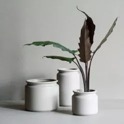 DBKD Pure Ruukku Large, Mole 8 DBKD Pure Ruukku Large, Mole -Julisteet Sales Store dbkd pure ruukku large 7