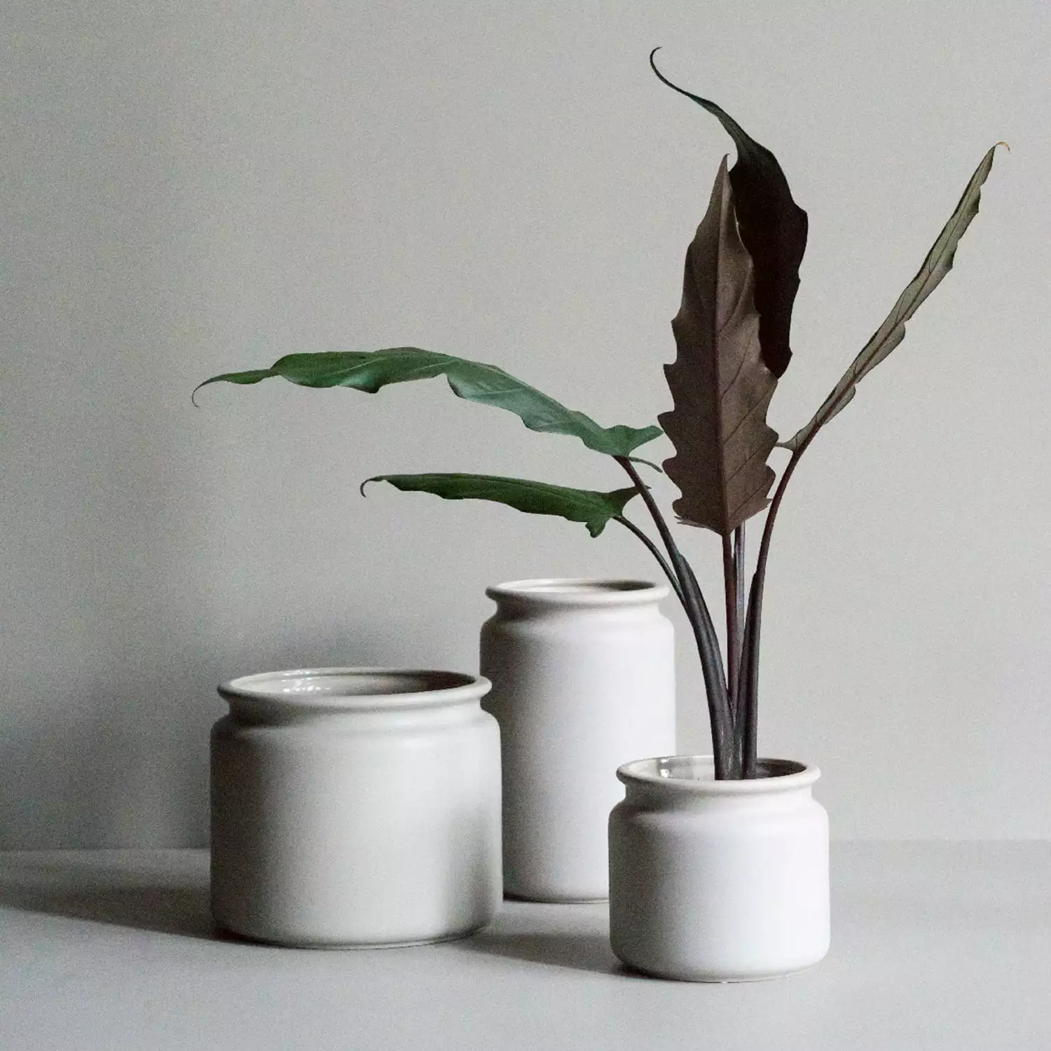 DBKD Pure Ruukku Large, Mole 3 DBKD Pure Ruukku Large, Mole - Image 3