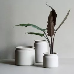 DBKD Pure Ruukku Small, Mole 7 DBKD Pure Ruukku Small, Mole -Julisteet Sales Store dbkd pure ruukku small 8