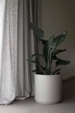 DBKD Solid Ruukku Taupe-ruskea, 40x40 Cm -Julisteet Sales Store dbkd solid pot xl mole 2