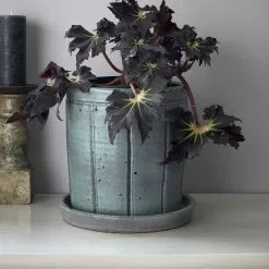 House Doctor Julian Ruukku Pikkulautasella 22 Cm, Harmaa / Vihreä 6 House Doctor Julian Ruukku Pikkulautasella 22 Cm, Harmaa / Vihreä -Julisteet Sales Store house doctor julian ruukku pikkulautasella 22 cm 2