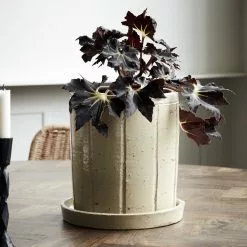 House Doctor Julian Ruukku Pikkulautasella 22 Cm, Beige 6 House Doctor Julian Ruukku Pikkulautasella 22 Cm, Beige -Julisteet Sales Store house doctor julian ruukku pikkulautasella 22 cm 6