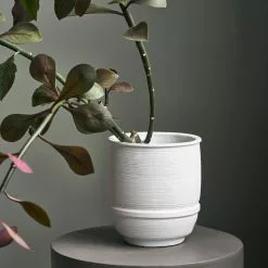 House Doctor Ground Ruukku Valkoinen, Ø14 Cm H16 Cm 10 House Doctor Ground Ruukku Valkoinen, Ø14 Cm H16 Cm -Julisteet Sales Store house doctor plantation box ground kit 1 1