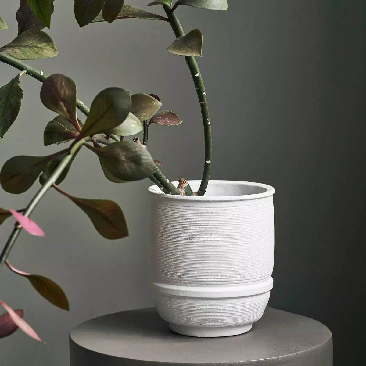 House Doctor Ground Ruukku Valkoinen, Ø18 Cm H20 Cm 2 House Doctor Ground Ruukku Valkoinen, Ø18 Cm H20 Cm - Image 2