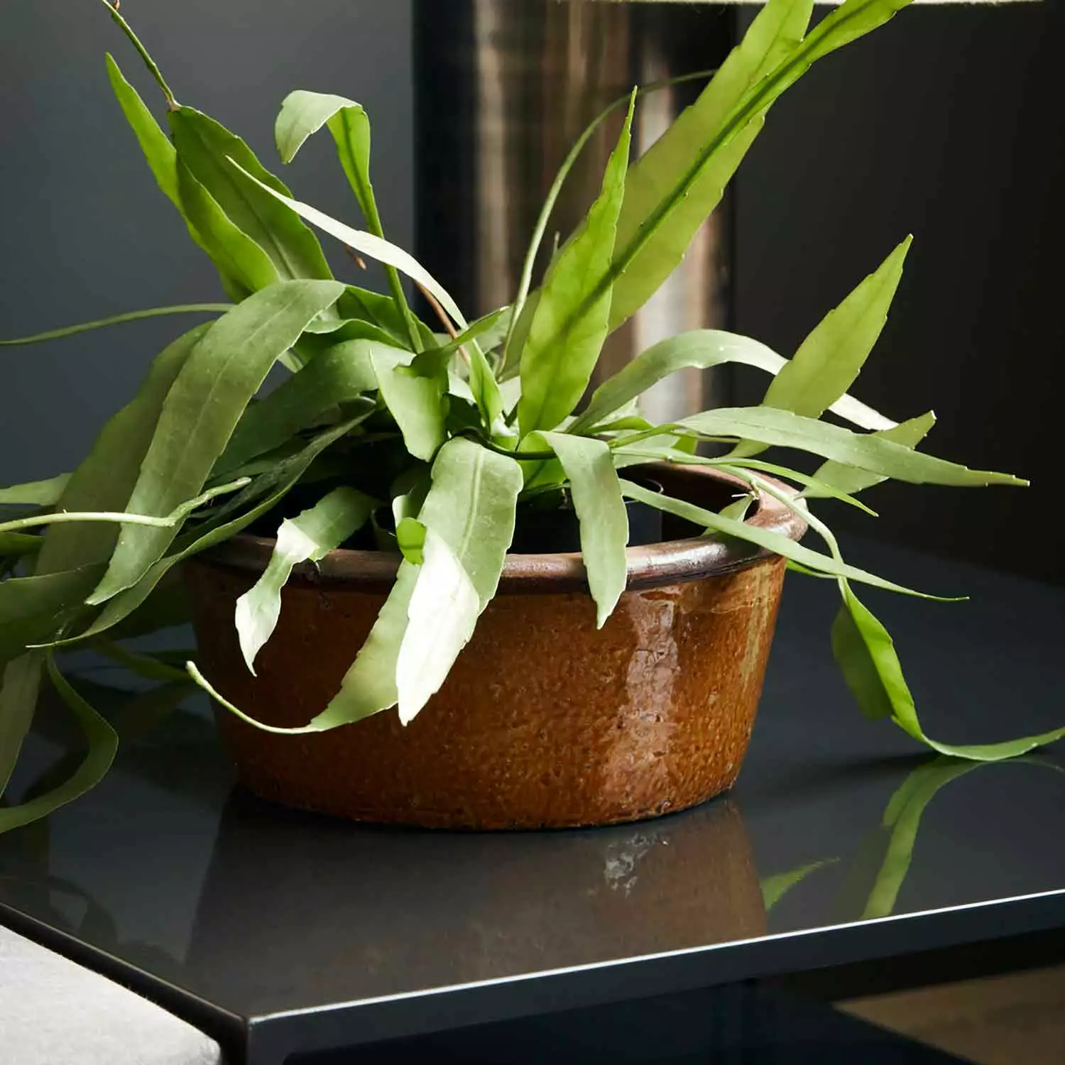 House Doctor Whai Ruukku, 30 Cm 2 House Doctor Whai Ruukku, 30 Cm - Image 2