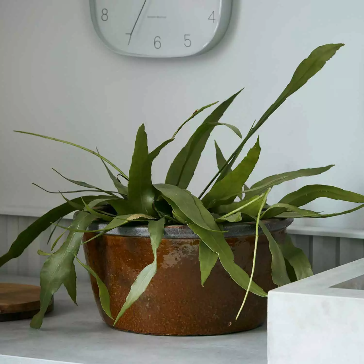 House Doctor Whai Ruukku, 37 Cm 2 House Doctor Whai Ruukku, 37 Cm - Image 2