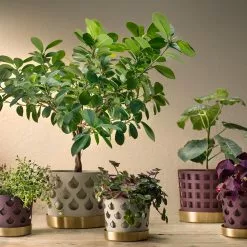 Klong Trio Drop Ruukku Beige, 12 Cm / Small 7 Klong Trio Drop Ruukku Beige, 12 Cm / Small -Julisteet Sales Store klong trio drop ruukku beige 3 1