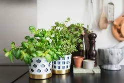 Klong Trio Pot Ruukku Pieni Square, Valkoinen -Julisteet Sales Store klong trio pot ruukku iso square valkoinen 2