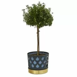 Klong Trio Pot Ruukku Iso Drop, Sininen 9 Klong Trio Pot Ruukku Iso Drop, Sininen -Julisteet Sales Store klong trio pot ruukku pieni drop sininen 3 1