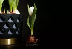 Klong Trio Pot Ruukku Iso Drop, Sininen 11 Klong Trio Pot Ruukku Iso Drop, Sininen -Julisteet Sales Store klong trio pot ruukku pieni drop sininen 4