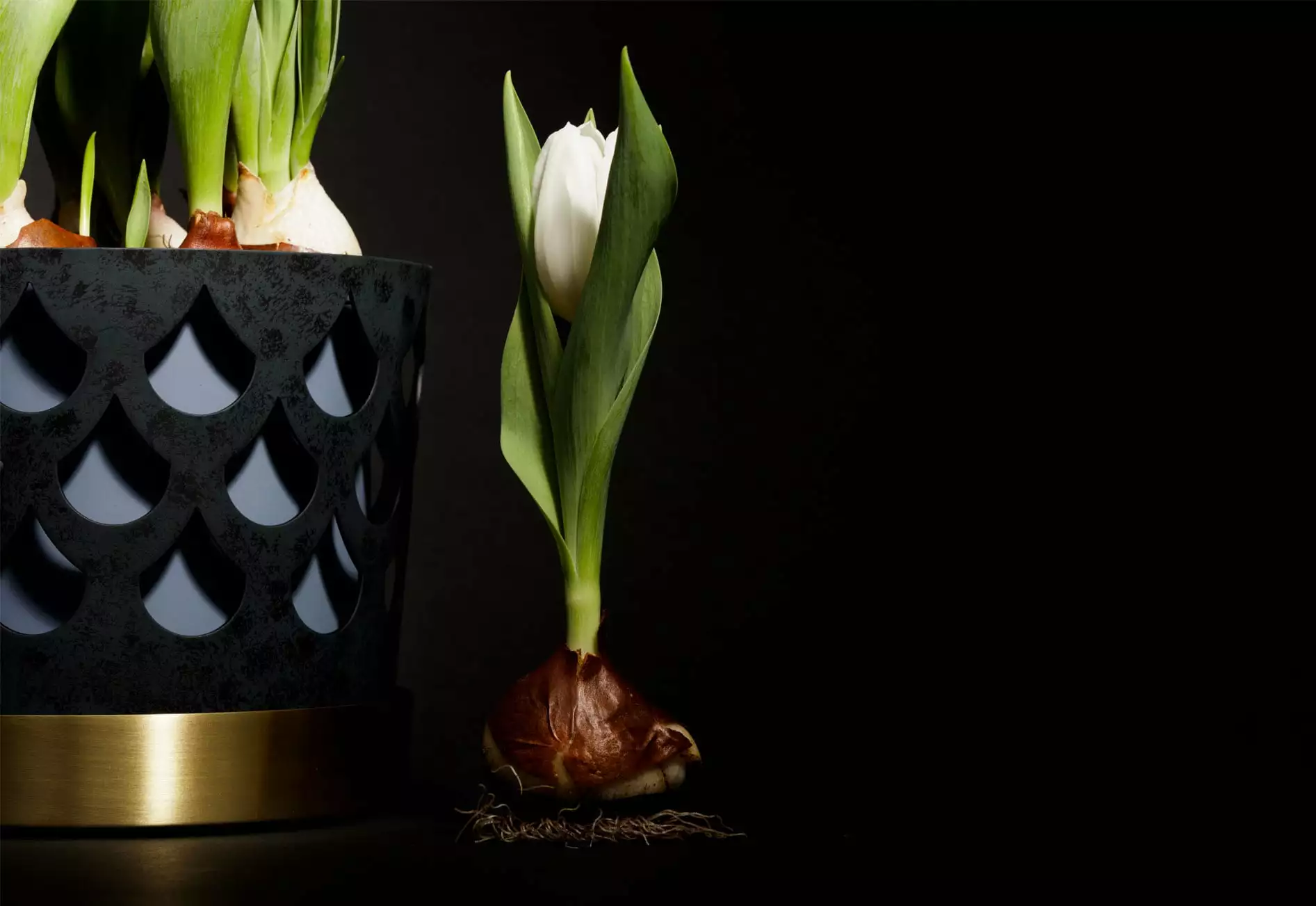 Klong Trio Pot Ruukku Iso Drop, Sininen 6 Klong Trio Pot Ruukku Iso Drop, Sininen - Image 6