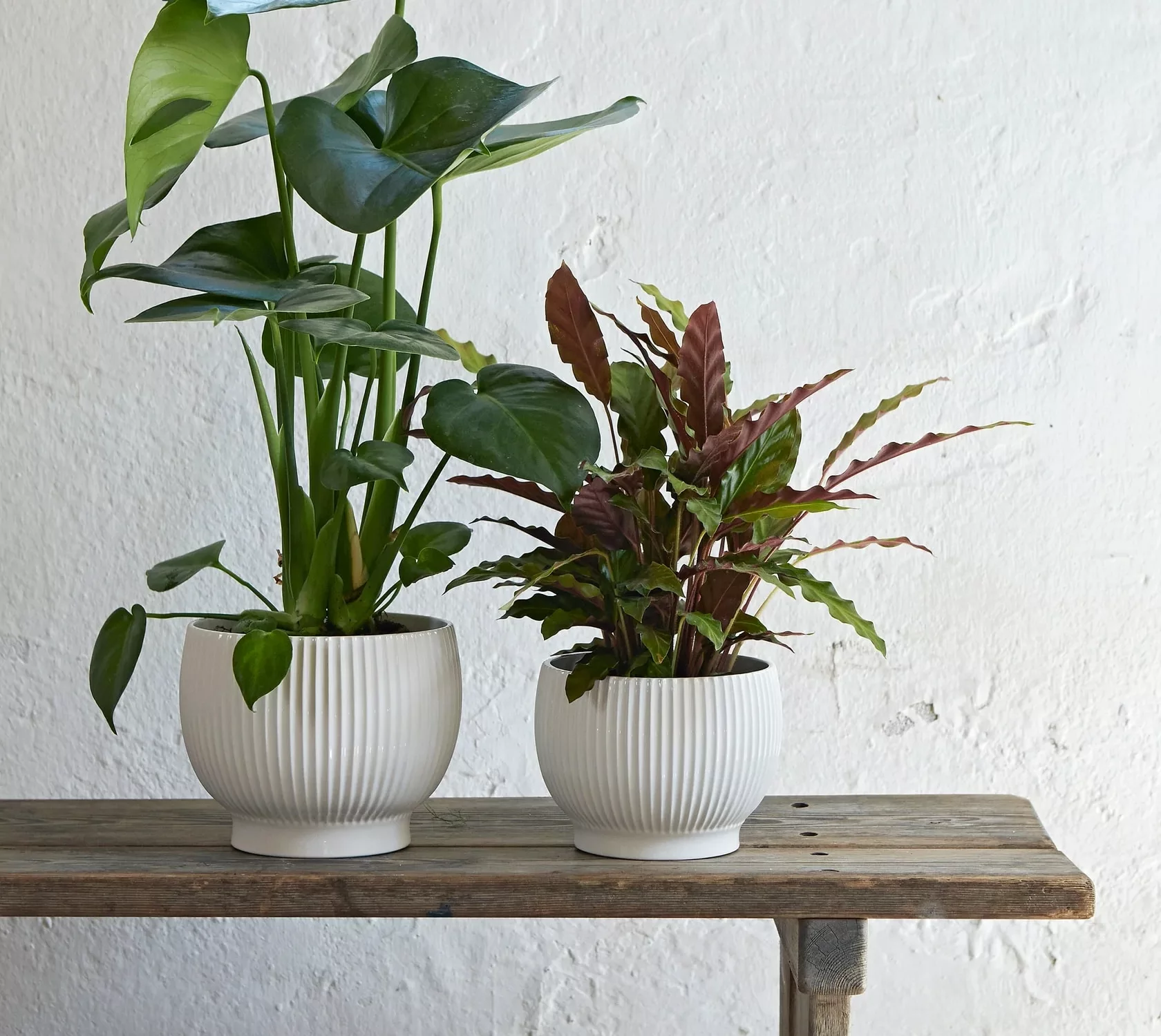 Knabstrup Keramik Ulkoruukku Uurteinen Ø16,5 Cm, Valkoinen 2 Knabstrup Keramik Ulkoruukku Uurteinen Ø16,5 Cm, Valkoinen - Image 2