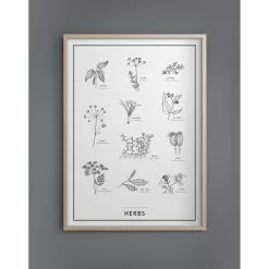 Kunskapstavlan® Herbs Juliste 50x70 Cm -Julisteet Sales Store kunskapstavlan herbs poster 1