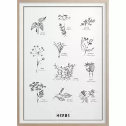 Kunskapstavlan® Herbs Juliste 50x70 Cm