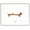 MADO Doug The Dachshund Juliste, 30x40 Cm