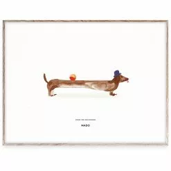 MADO Doug The Dachshund Juliste, 30x40 Cm