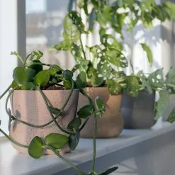 Mette Ditmer Stone Ruukku Ø17 Cm, Harmaa 11 Mette Ditmer Stone Ruukku Ø17 Cm, Harmaa -Julisteet Sales Store mette ditmer stone 1